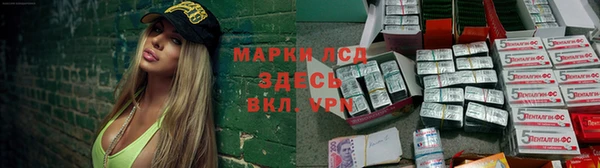эйфоретик Аркадак