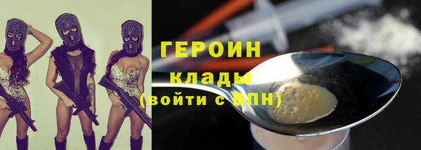 прущие грибы Дмитровск
