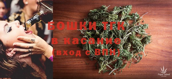 эйфоретик Аркадак