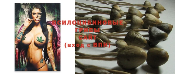 эйфоретик Аркадак