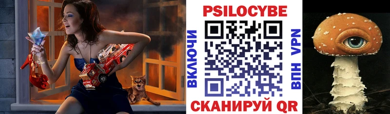 Галлюциногенные грибы мухоморы  Спас-Клепики 
