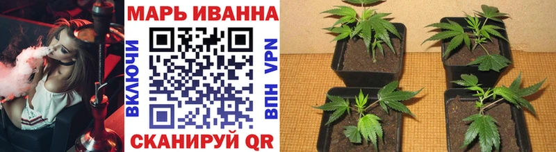Бошки Шишки SATIVA & INDICA  Спас-Клепики 